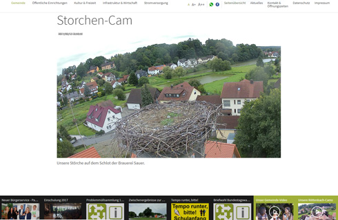 Live-Streaming der Storchen-Cam
