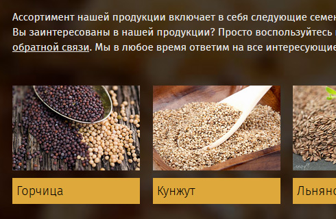 Russische Sprachversion mit kyrillischen Glyphen am Beispiel von Golden Food 24